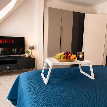 Apartment Luxus Designer Maisonette In 1a Lage Der Historischen Altstadt Potsdams Mit 150 Qm Und Privater Dachterrasse